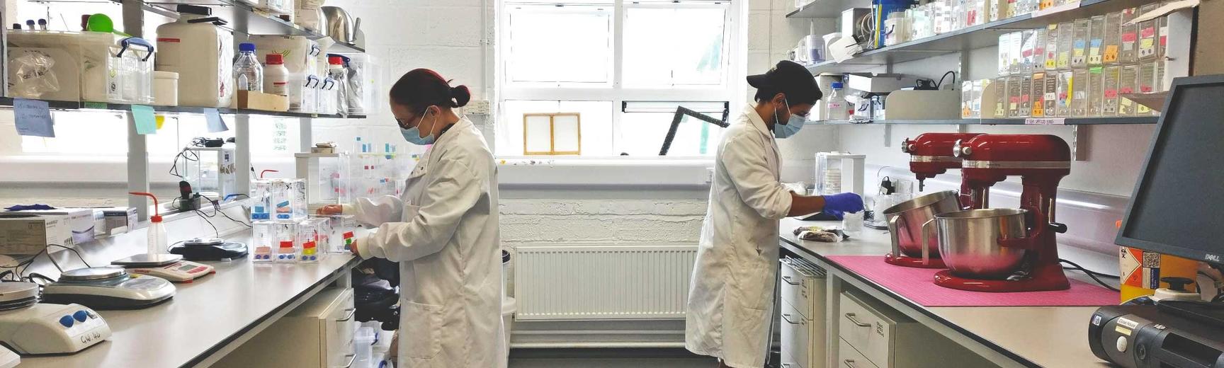 lab-setting