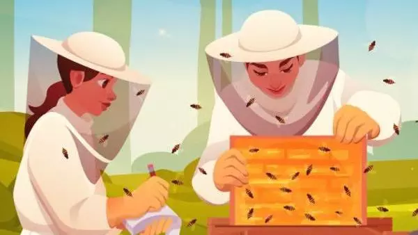 How can we make better food for honeybees? 