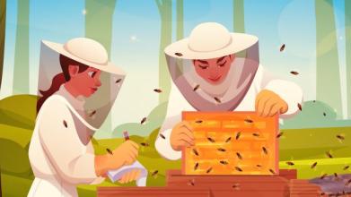 Two beekeepers wearing veils inspect a honeybee colony and take notes.